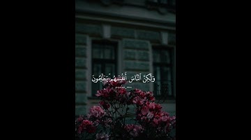 أفأنت تهدي العمي ولو كانوا لا يبصرون #سورة يونس #القارئ عبدالرحمن مسعد