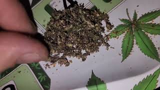 cultiva   bacio gelato bud breakdown  26% thc medical cannabis