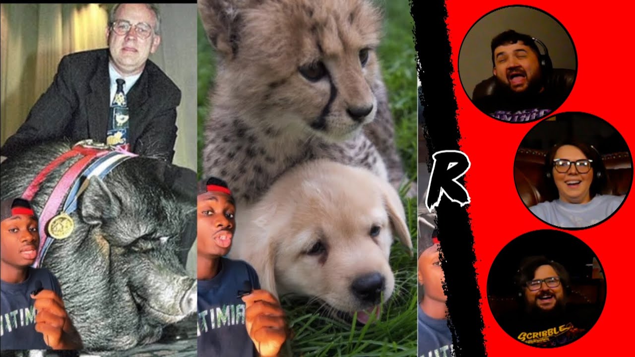 Если вы ещё не улыбались сегодня... - @mndiaye_97 | РЕАКЦИЯ РЕНЕГАТОВ