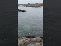 Best ocean spot #ocean #oceanwaves #views #beach #walk #love #beautiful #usa