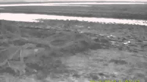 vlc-record-2012-03-24-05h55m36-Staatsbosbeheer_Volg_de_Vos