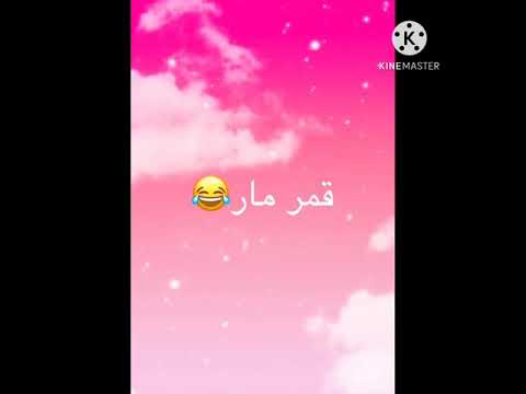 وقعات فريق نورمار عن الكرسي