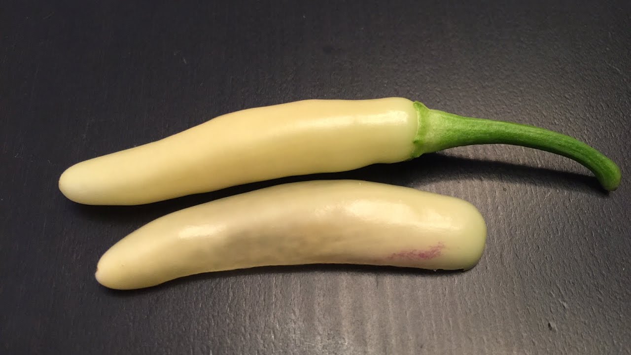 What's That Pepper Ep25 - White Thai