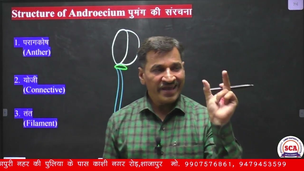 Structure of Androecium | Flower | Anther | Connective | Filament