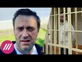 Навальный накануне возвращения — включение из Германии / Арест Павла Зеленского