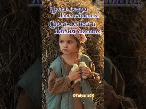 Доброго вечера! В монтаже ролика испл. видео Е. Шумиловой. Эту песню любил мой отец.