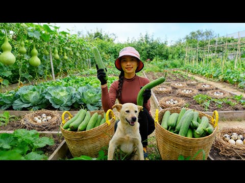 Harvest, Sell, And Cook With: Loofah, Banana Blossom, Quail Eggs, Vegetables - Raise Animal -Farm