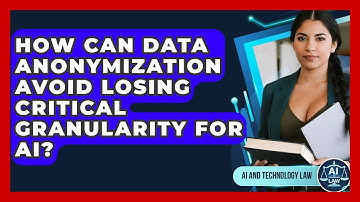 How Can Data Anonymization Avoid Losing Critical Granularity For AI? - AI and Technology Law