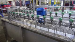Use Poultry Tech, Poultry Hot Water Scalder