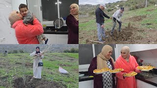 Download Lagu اخر نهار مع سعد قبل عودة وصال وعلي وجدنا الذ عشاء انا واختي فاطمة | طريقة غرس اشجار الزيتون  MP3