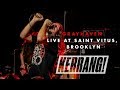 GREYHAVEN: Live at Saint Vitus in Brooklyn, New York