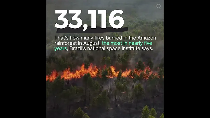 Number of Brazil Amazon Rainforest Fires Hits 5-Year High in August