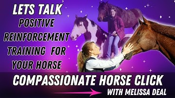 Achieve Results with This! Compassionate Horse Click, Positive Reinforcement Training for Horses