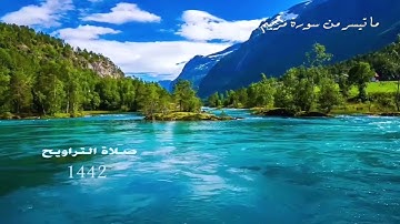 ماتيسر من سورة مريم  تلاوة مختارة لأبي خالد