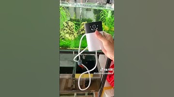 Máy sủi oxy - Pin sạc chống cúp điện - Review 🥸