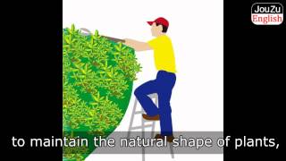 Fun Free Video English Lessons - hedge 20130924