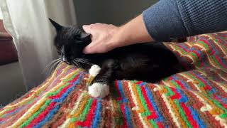 Ricky enjoying some pets