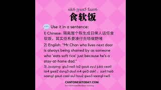 Cantonese slang: 食软饭 eat soft rice, use it in a sentence screenshot 3