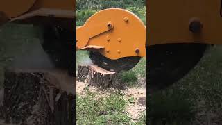 The Trackless Vehicles Stump Grinder is a key tool in parks maintenance!