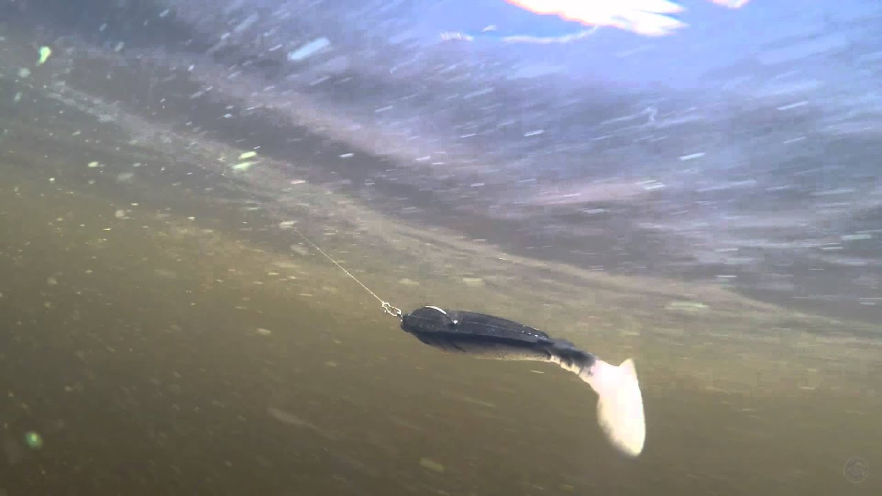 Berkley PowerBait Pulse Shad 5.5''