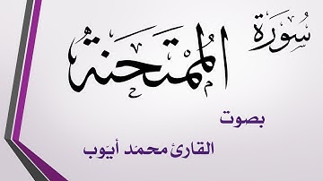 060 سورة الممتحنة .. محمد أيوب .. القرآن هدى للمتقين
