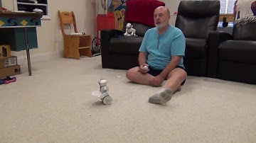 Haite Self Balancing Robot