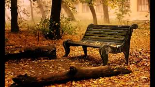 Mustafa Bayar - Ben Ne Yangınlar Gördüm