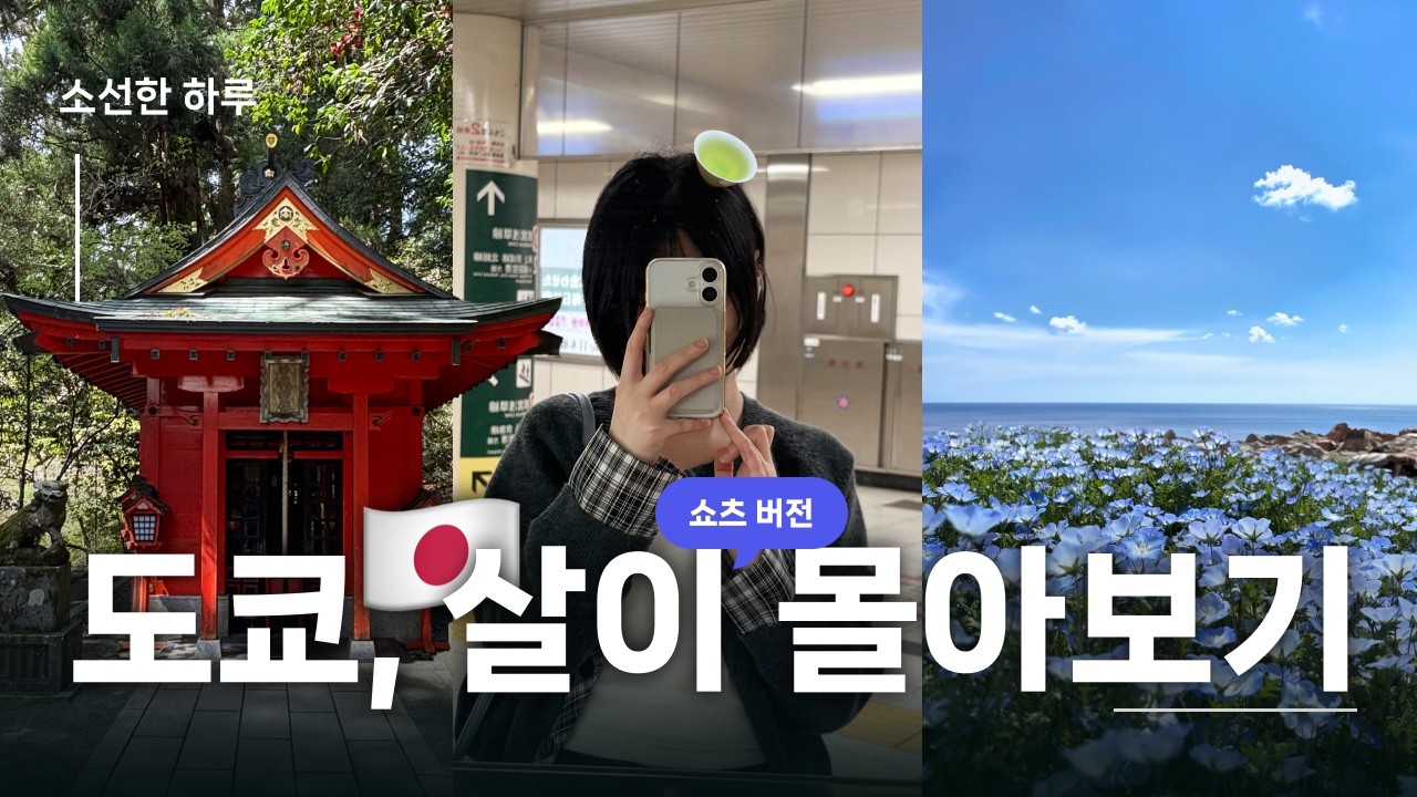 [소선한 하루] 도쿄 한달살이 쇼츠.ver 몰아보기