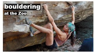 Does the dab matter? 🤭 World class bouldering in Khon Kaen, Thailand 🇹🇭