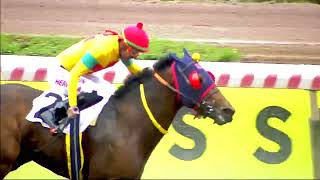 Vidéo de la course PMU PRIX ISAAC FISCHMANN GELFENSTEIN