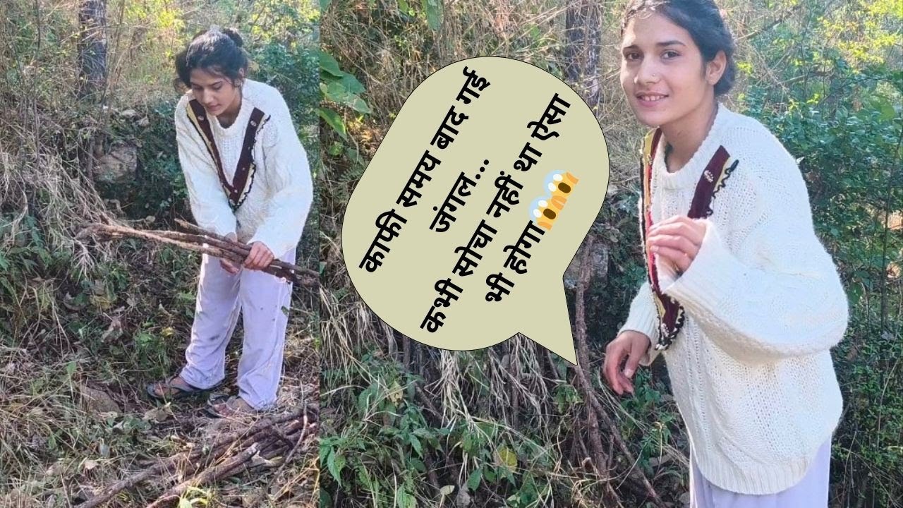 काफी समय बाद गई जंगल|| आखिर ऐसी घटनाए क्यो हो रही है😱||phadi lifestyle vlog||@sangeetapurivlog||