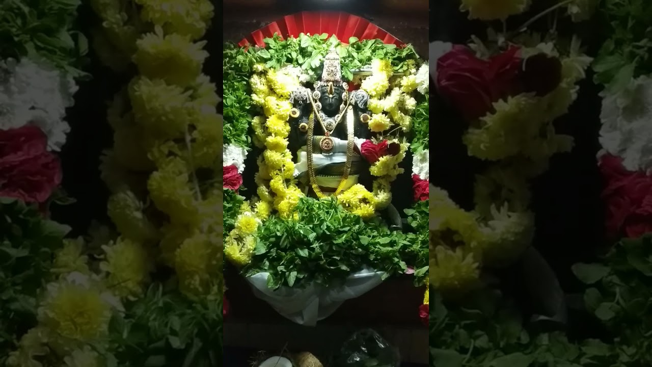 30.12.25 வைகுண்ட ஏகாதசி. ஶ்ரீ விஷ்ணு பகவான் அபிஷேகம் அலங்காரம் மற்றும் தீபாராதனை.