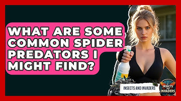 What Are Some Common Spider Predators I Might Find? - Insects and Invaders