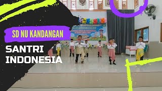 Download Lagu SANTRI INDONESIA - SENORITA VERSI SD NU KANDANGAN MP3