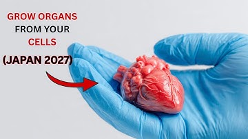 Scientists Can Now GROW HUMAN ORGANS From Your Own Cells (Japan 2027)