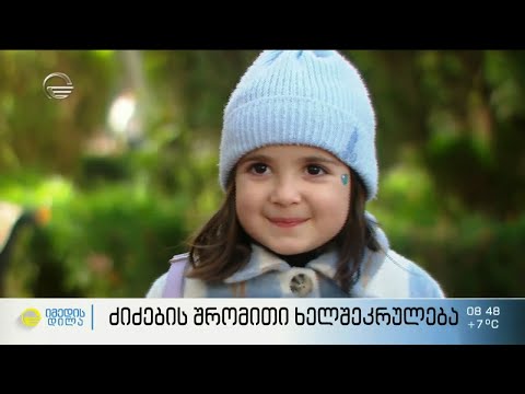 შრომითი ხელშეკრულება ძიძებისთვის და დამსაქმებელი ოჯახებისთვის