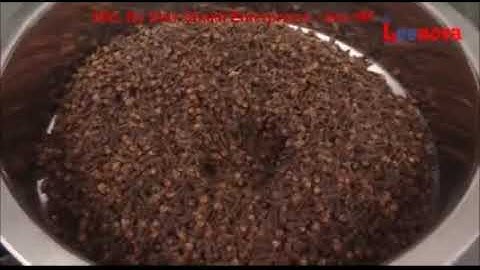 2 In 1 Pulveriser MKT By Shiv Shakti Enterprises UNA HP