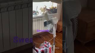 Farm life hack sweatcoin