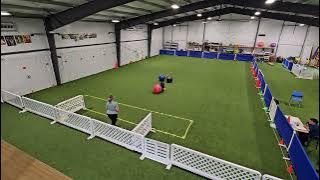 101825_WendySchrecongost_Pluto_Med_Standard_Novice_Run1