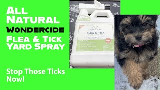 All Natural Wondercide Flea & Tick Yard Spray Full Review & Tips For Use