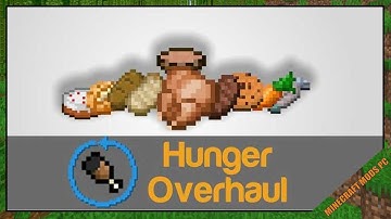 Hunger Overhaul Mod 1.12.2/1.10.2/1.7.10 & How To Download and Install for Minecraft