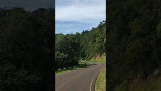 Cerro 60 Ruta 17... Vídeo Completo en el Canal !! #misiones #ruta #naturaleza