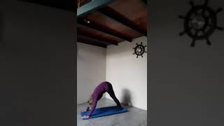 Asanas Del 7 De Mayo5