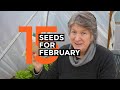 What To Sow In FEBRUARY | Easy to grow crops