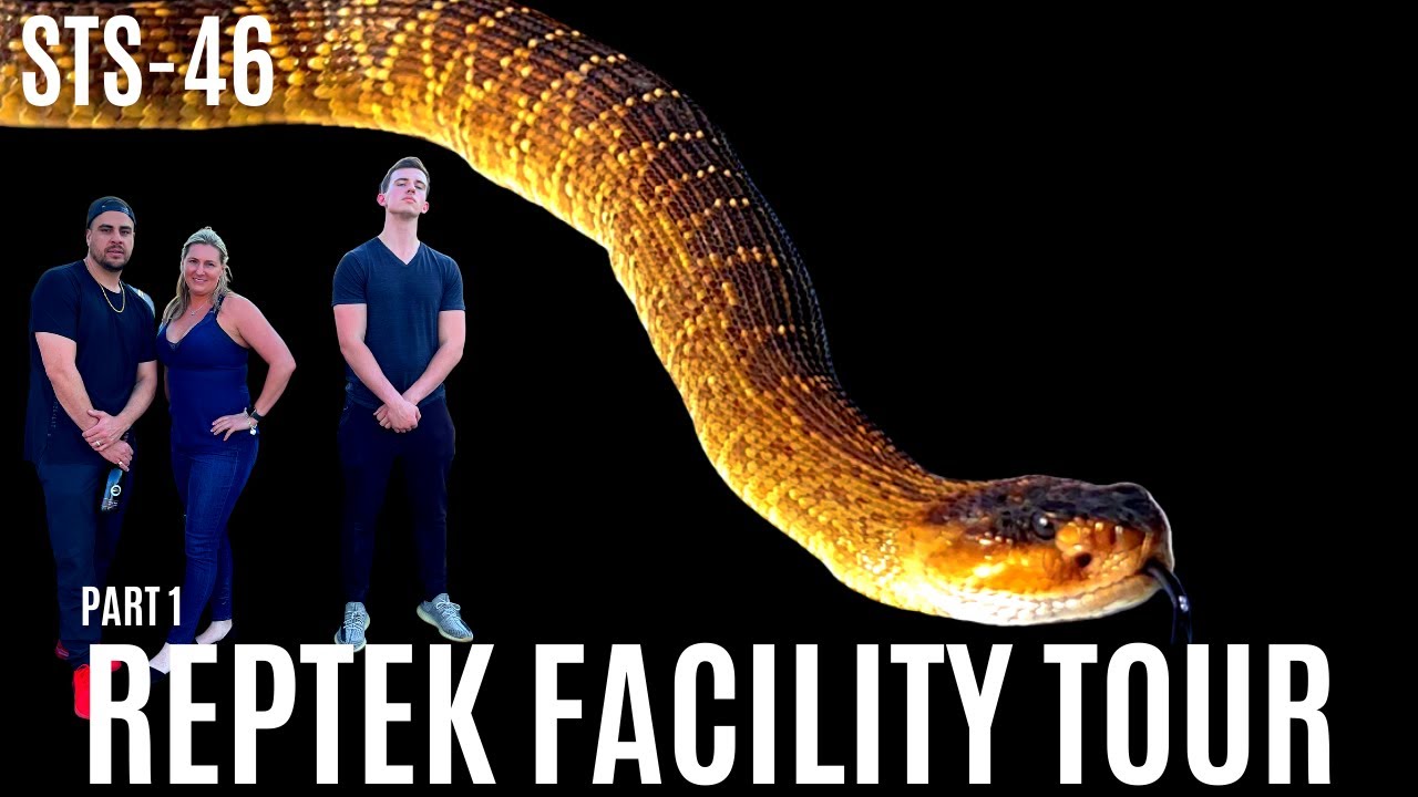 REPTEK FACILITY TOUR w/ DESIREE MONNOT & STEVEN KUSH PART 1 OF 3  | ALL VENOMOUS REPTILES | STS-46