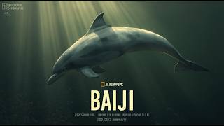 Baiji The River Dolphin Humanity Lost