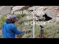 Make Samples Anywhere 🌎 Field Recording for MPC Programs w/Tascam DR05x