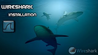 𝗪𝗜𝗥𝗘𝗦𝗛𝗔𝗥𝗞 Installation on windows 10 in tamil #wireshark #networking