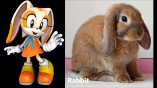 The Sonic Characters Real Life Comparisons