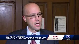Plea deals made in cockfighting cases
